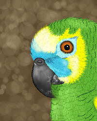 Coco (Oekaki)
