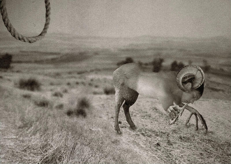 Die Eitelkeit des Marsyas