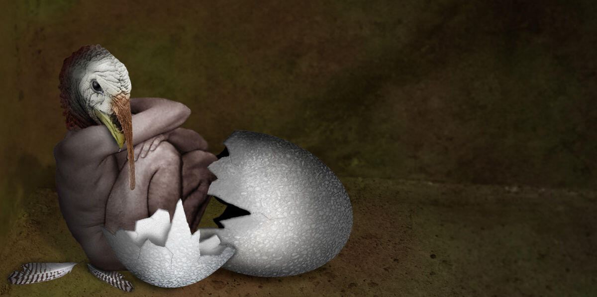 Himmlische Kreatur, verlassen